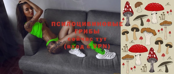 тгк Ветлуга