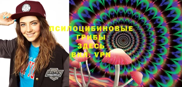 хмурый Нязепетровск