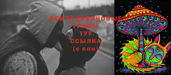 альфа пвп Няндома