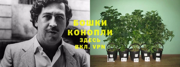 альфа пвп Няндома