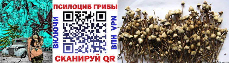 Галлюциногенные грибы GOLDEN TEACHER  mega как войти  Заводоуковск  где купить наркотик 