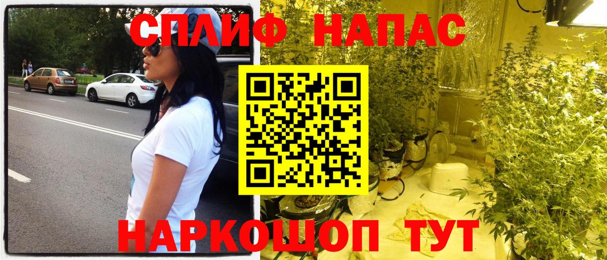 Марихуана Bruce Banner  МАРИХУАНА White Widow  Заводоуковск  Вход с VPN  Шишки марихуана MAZAR 